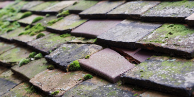 Newark roof repair costs